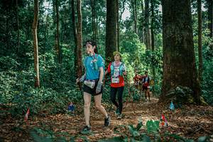 BIB: 
                            <button type="button" onclick="openModal(26135456)" class="btn btn-primary btn-sm float-right btn-popup" data-toggle="modal" data-target=".modal-high-quality">
                        <i class="fas fa-shopping-cart"></i> Add to Cart
                    </button>
                                            <button type="button" onclick="isThisMe(26135456, true)" class="btn btn-success btn-sm float-right btn-popup btn-isme hidden" data-toggle="tooltip" data-placement="bottom" title="นี่คือรูปของคุณใช่ไหม คลิกที่นี่เพื่อเอาเข้าอัลบั้ม">
                        <i class="fas fa-plus"></i> Add to album
                    </button>
                    <button type="button" onclick="isThisMe(26135456, false)" class="btn btn-warning btn-sm float-right btn-popup btn-isnotme hidden">
                        <i class="fas fa-ban"></i> Remove from album
                    </button>